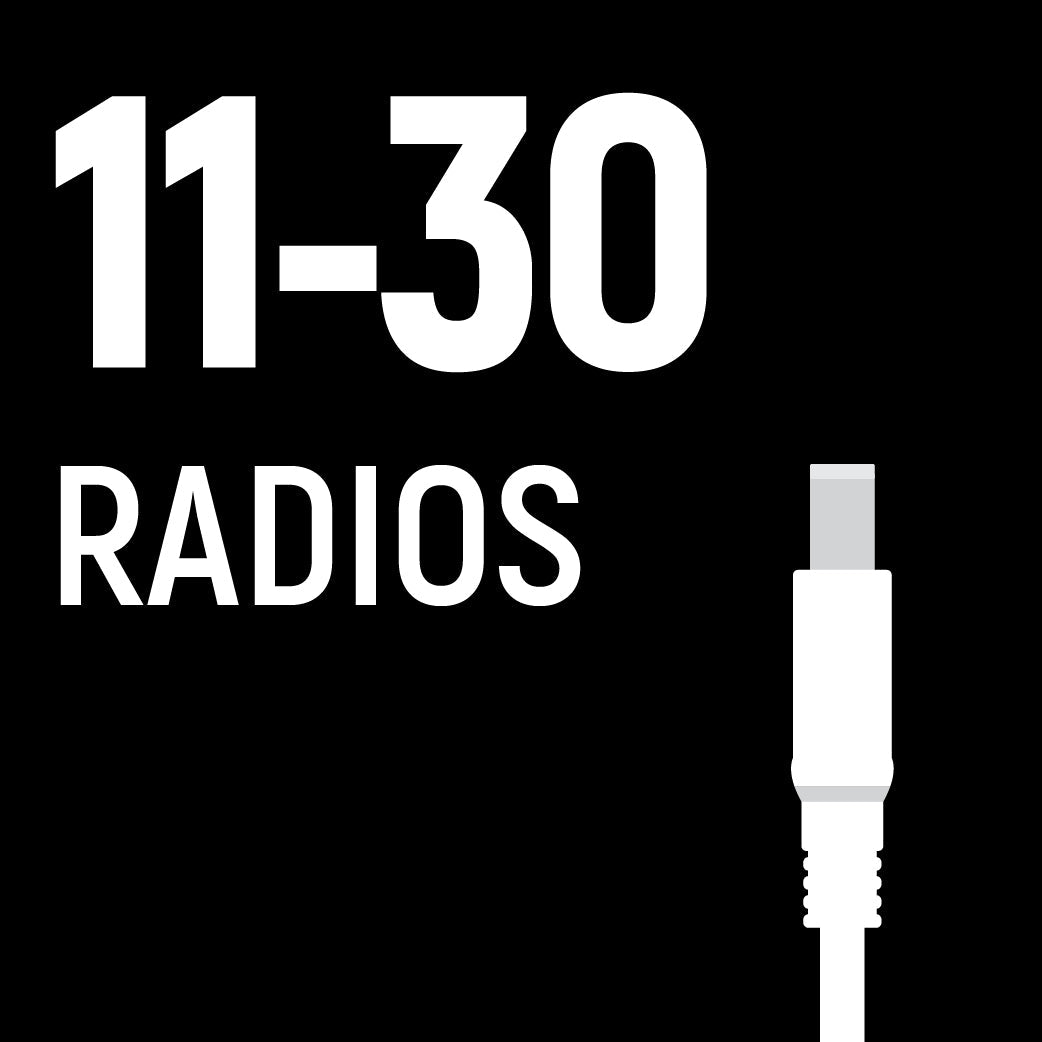 Bulk Programming (11-30 Radios)